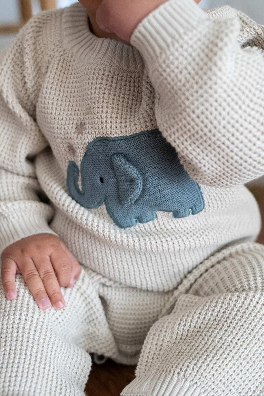 Elephant Jacquard Knit Baby Jumpsuit (Organic)