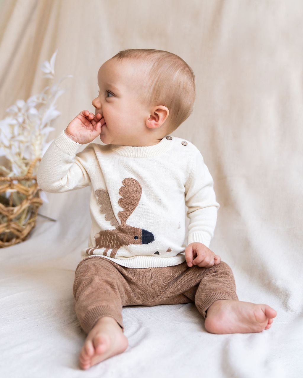 Moose Jacquard Knit Baby Pullover Sweater (Organic Cotton)