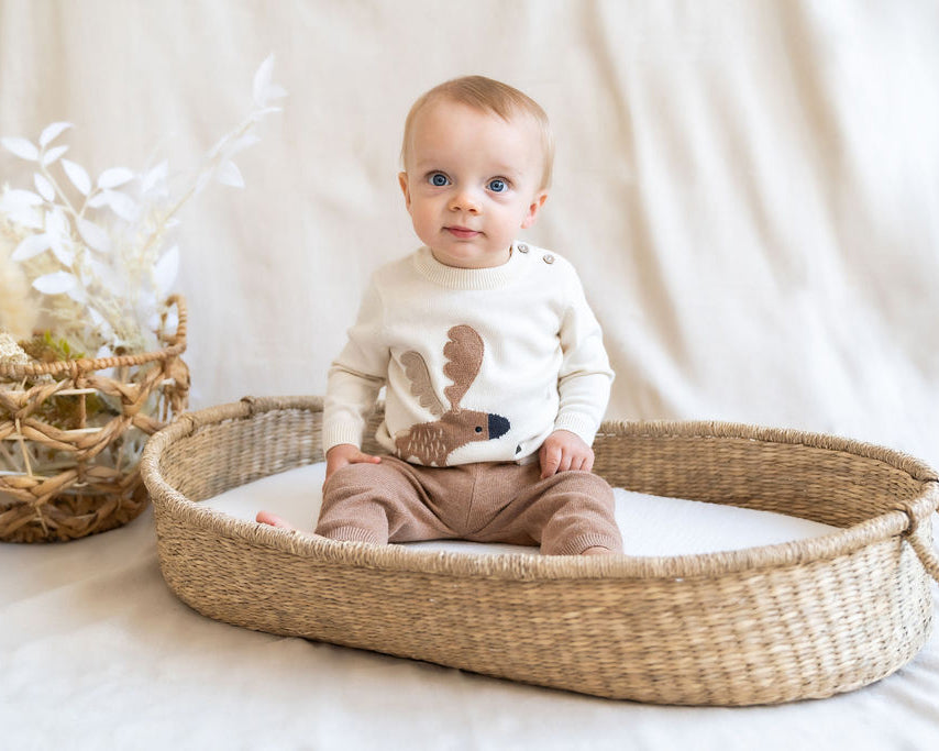 Moose Jacquard Knit Baby Pullover Sweater (Organic Cotton)