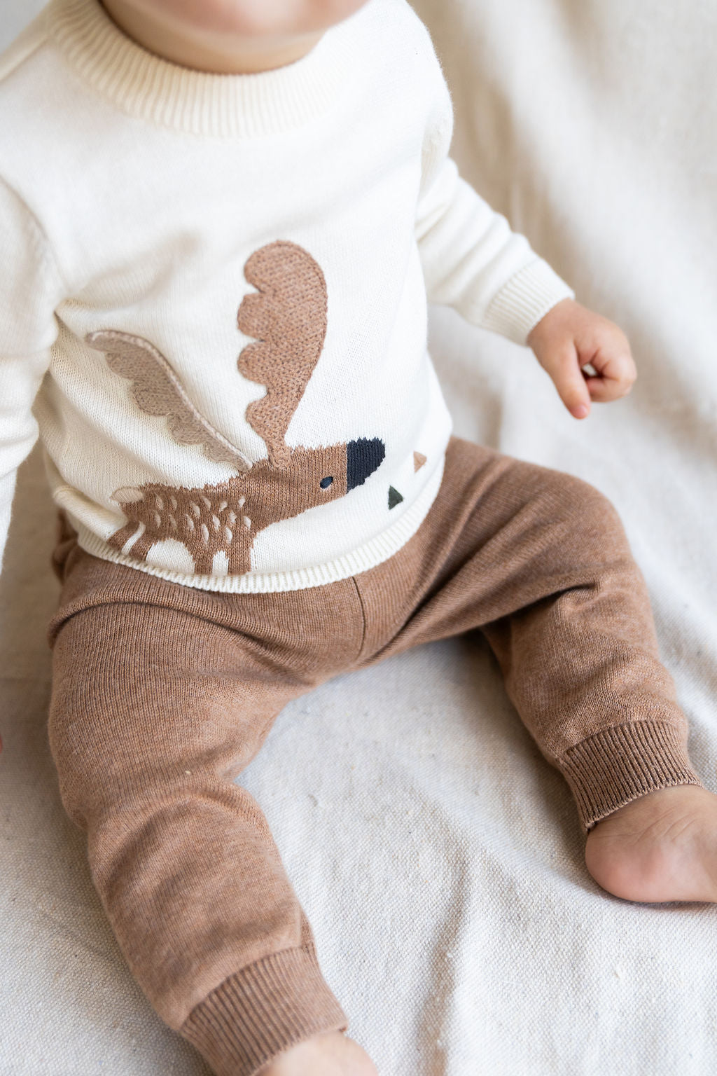 Moose Jacquard Knit Baby Pullover Sweater (Organic Cotton)