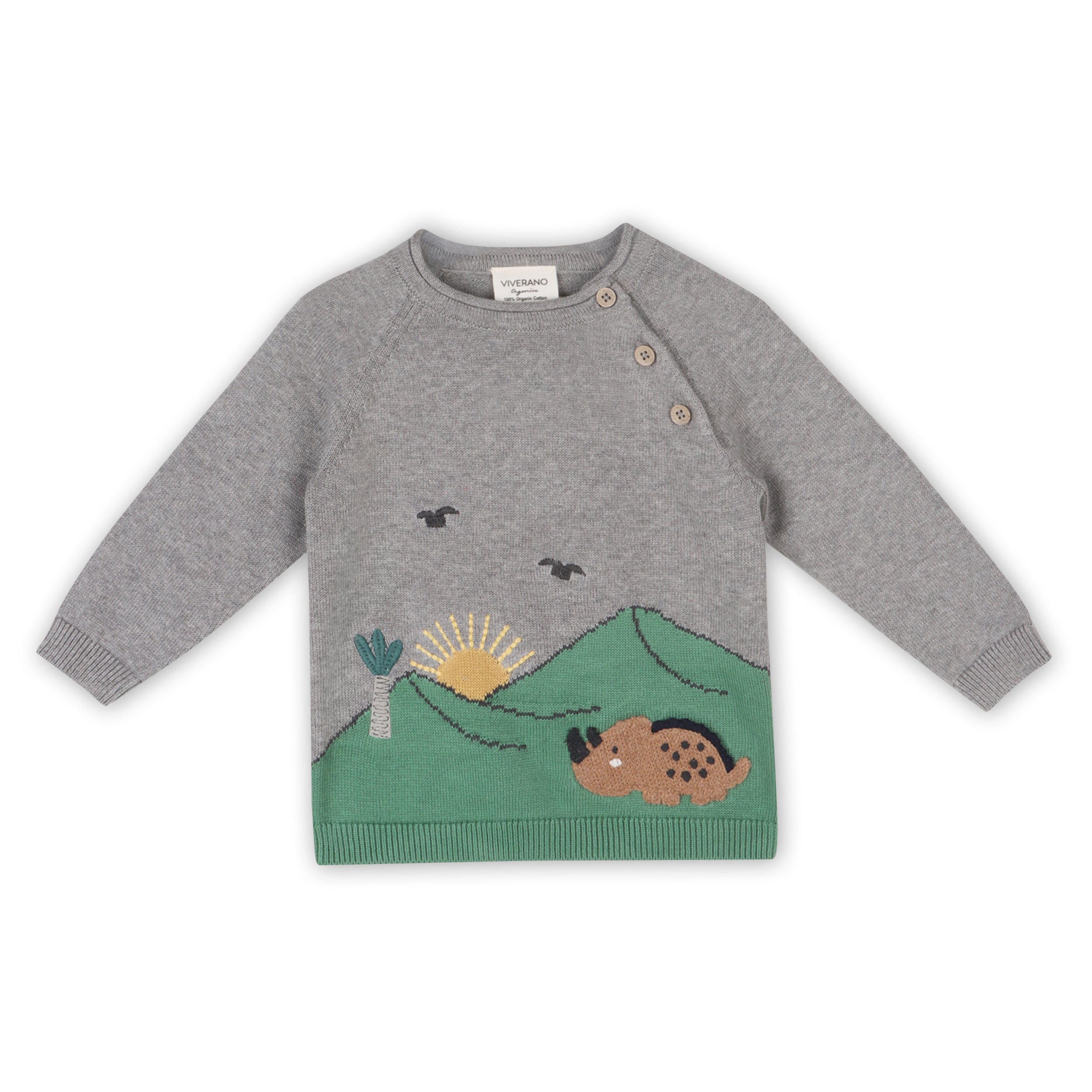 Dinosaur Jacquard Knit Raglan Baby Sweater (Organic Cotton)