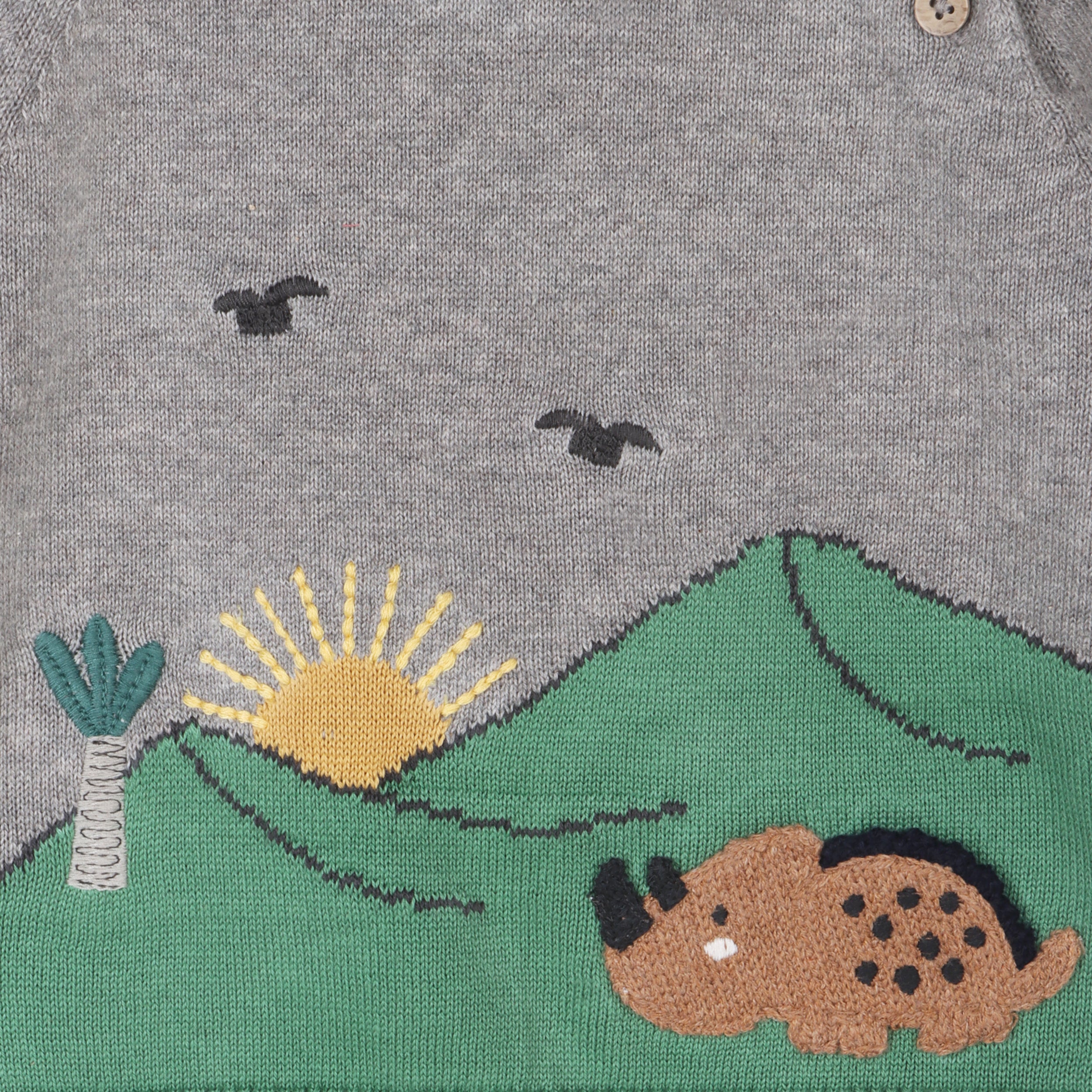 Dinosaur Jacquard Knit Raglan Baby Sweater (Organic Cotton)