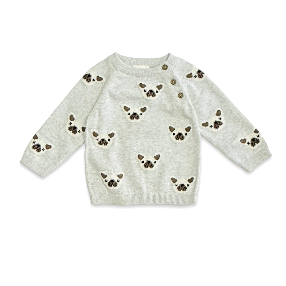 Frenchie Puppy Jacquard Knit Baby Raglan Pullover Sweater + Pant SET (Organic Cotton)