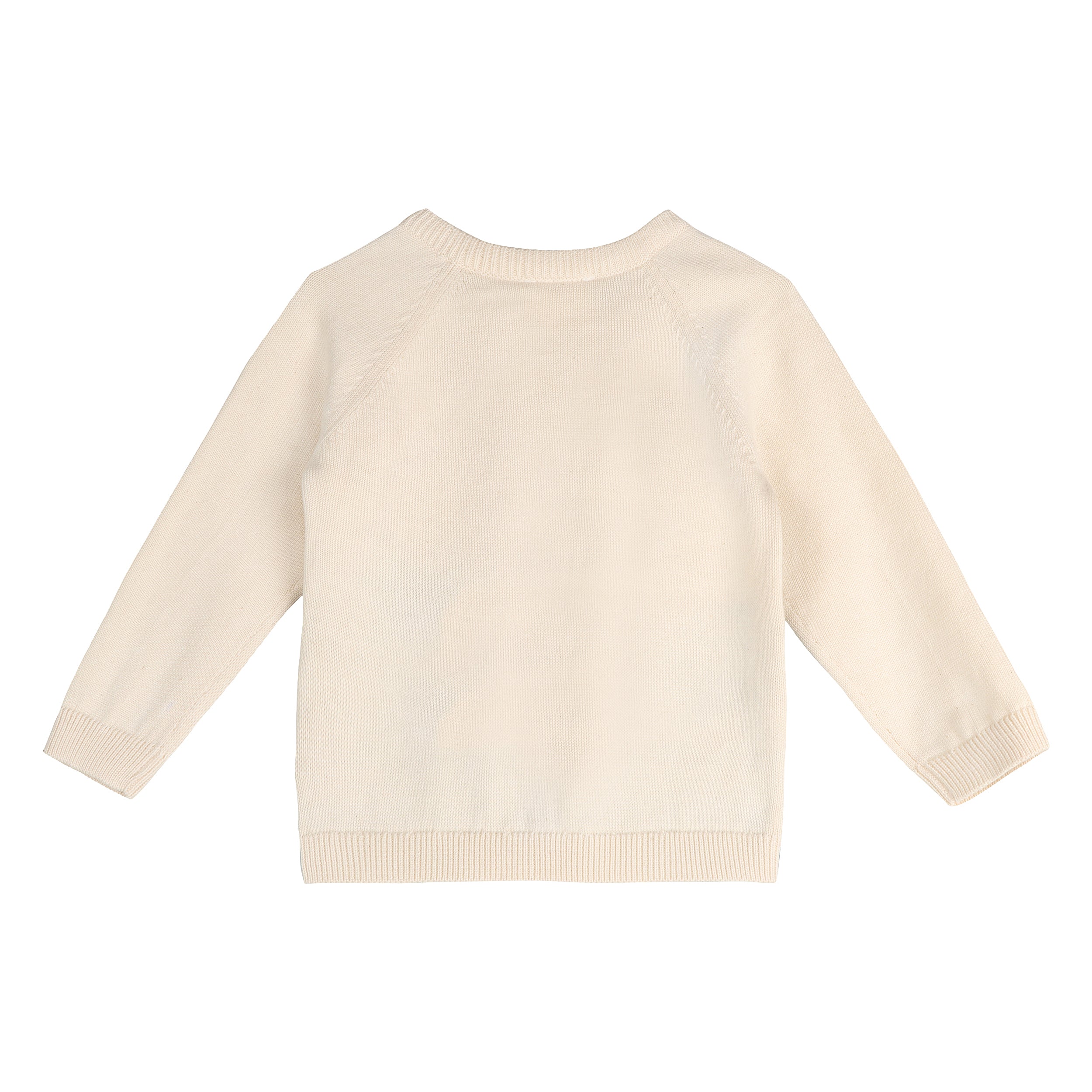 Surfs Up Jacquard Knit Baby Pullover (Organic Cotton)