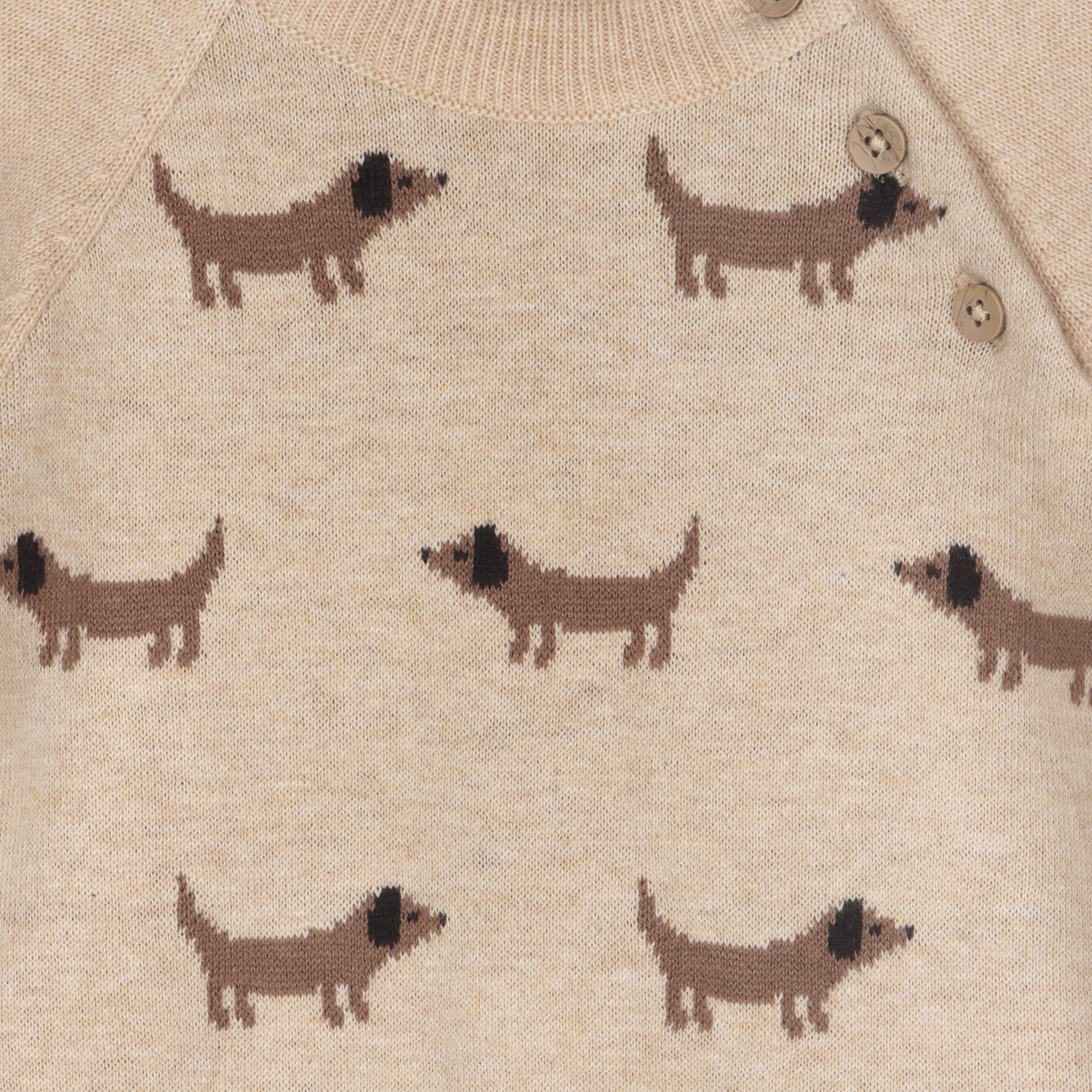 Doxie Dog Jacquard Knit Baby Raglan Pullover Sweater (Organic Cotton)