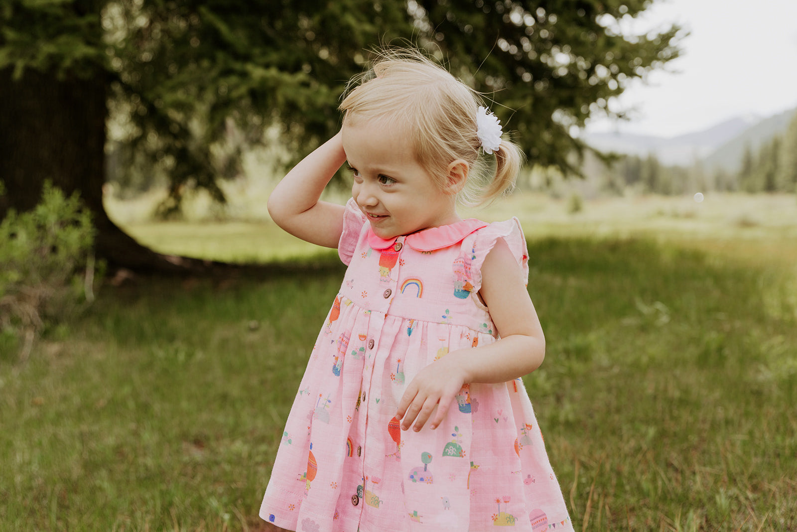 Balloon Peter Pan Collar & Button Baby Dress+Bloomer Set (Organic Muslin)