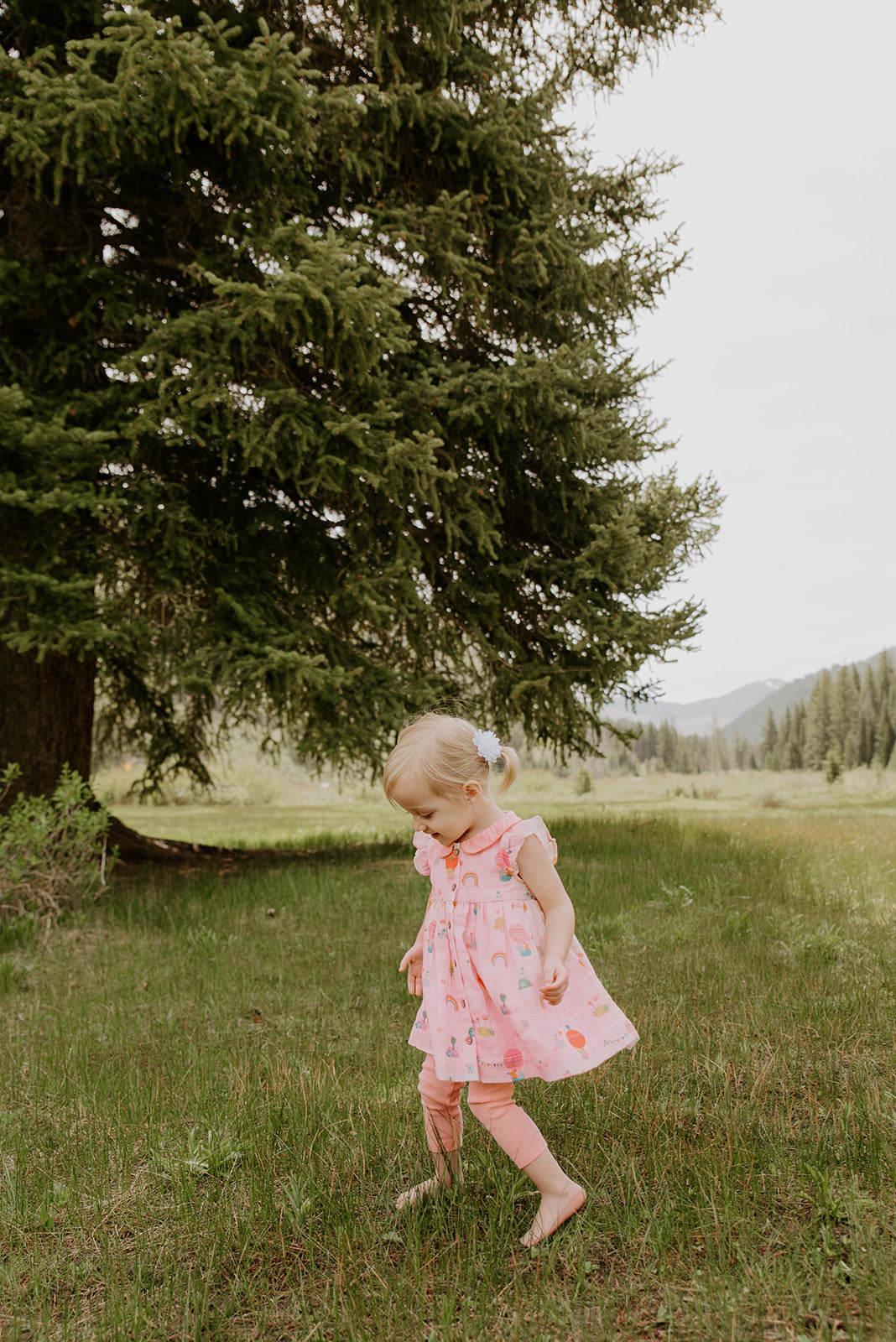 Balloon Peter Pan Collar & Button Baby Dress+Bloomer Set (Organic Muslin)